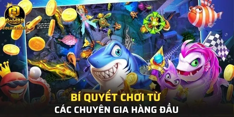 Bí quyết chơi từ các chuyên gia hàng đầu