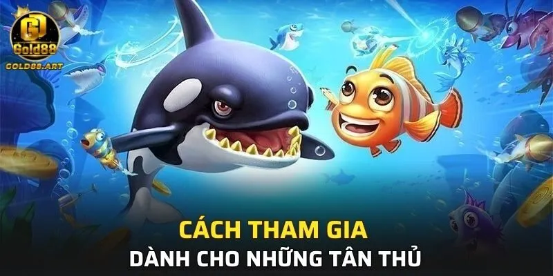 Cách tham gia dành cho những tân thủ