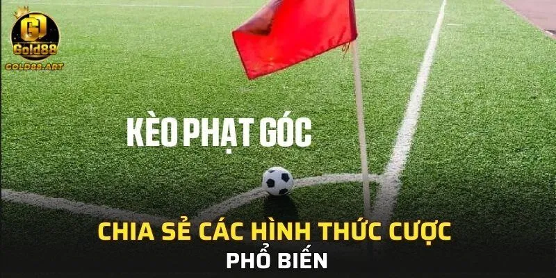 Chia sẻ các hình thức cược phổ biến 