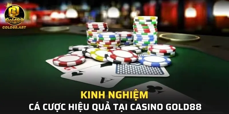 Chia sẻ kinh nghiệm cá cược hiệu quả tại GOLD88