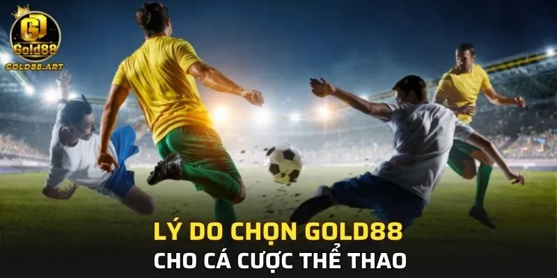 Lý do chọn GOLD88 cho cá cược thể thao