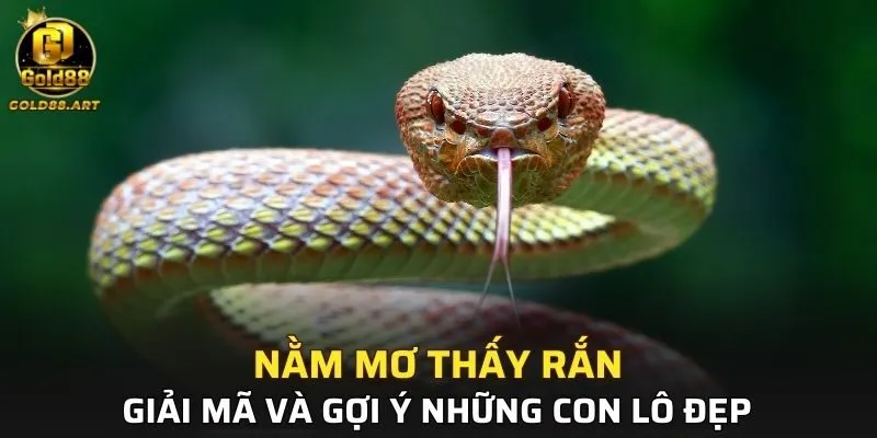 Nằm Mơ Thấy Rắn