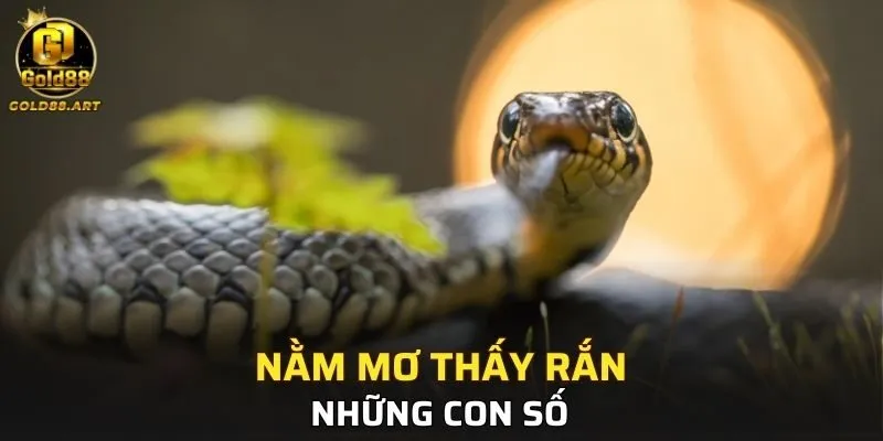 Những con số nên đánh sau khi mơ